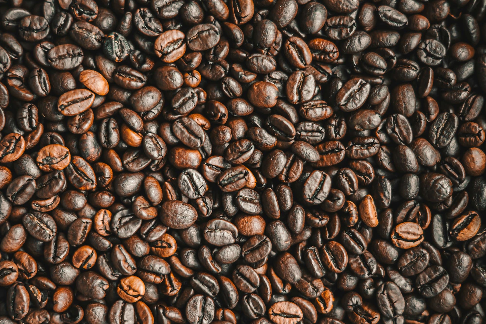 Roasted beans in close-up