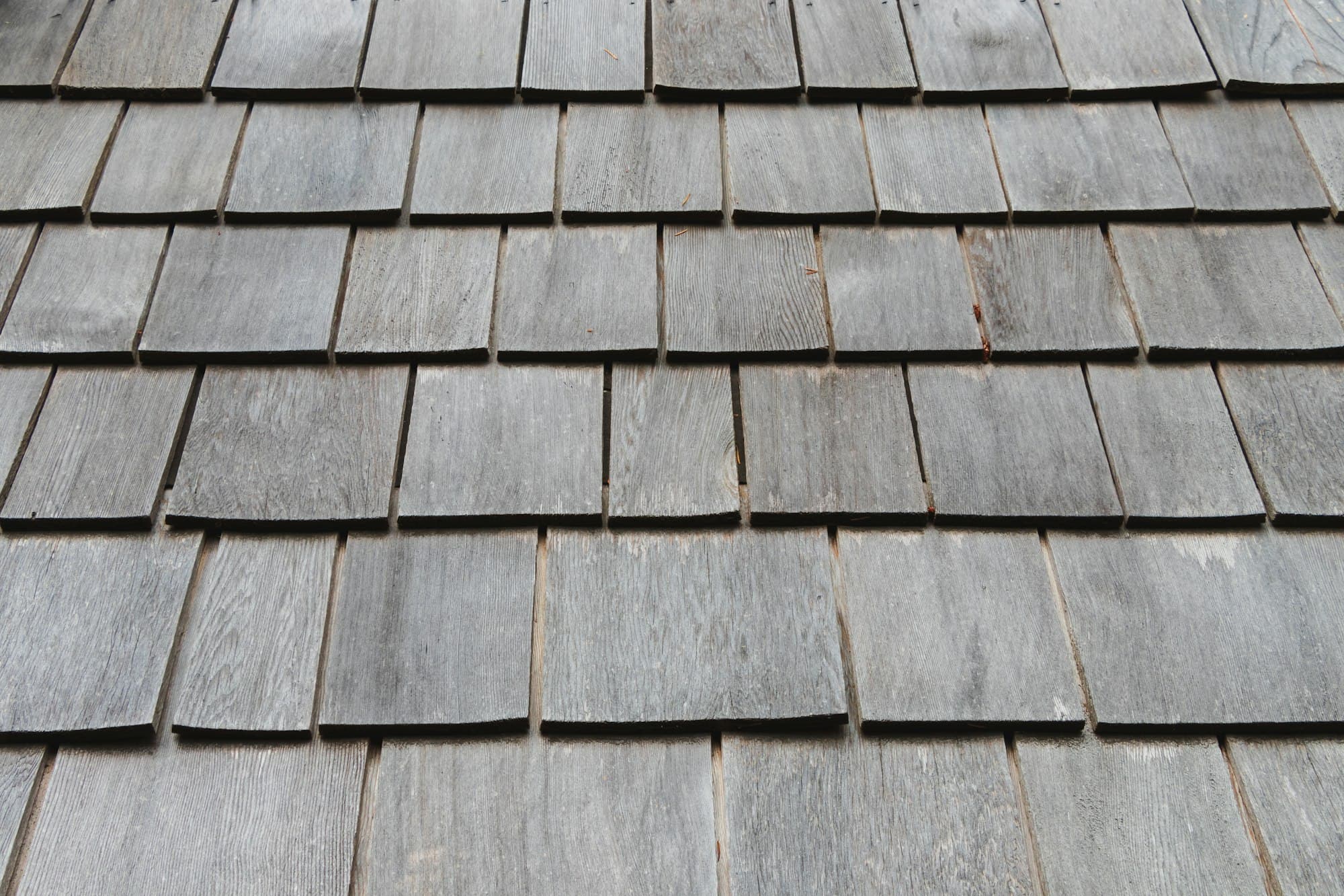 Slate-gray shingle courses in close-up